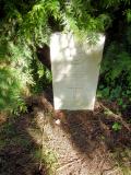 image of grave number 633657